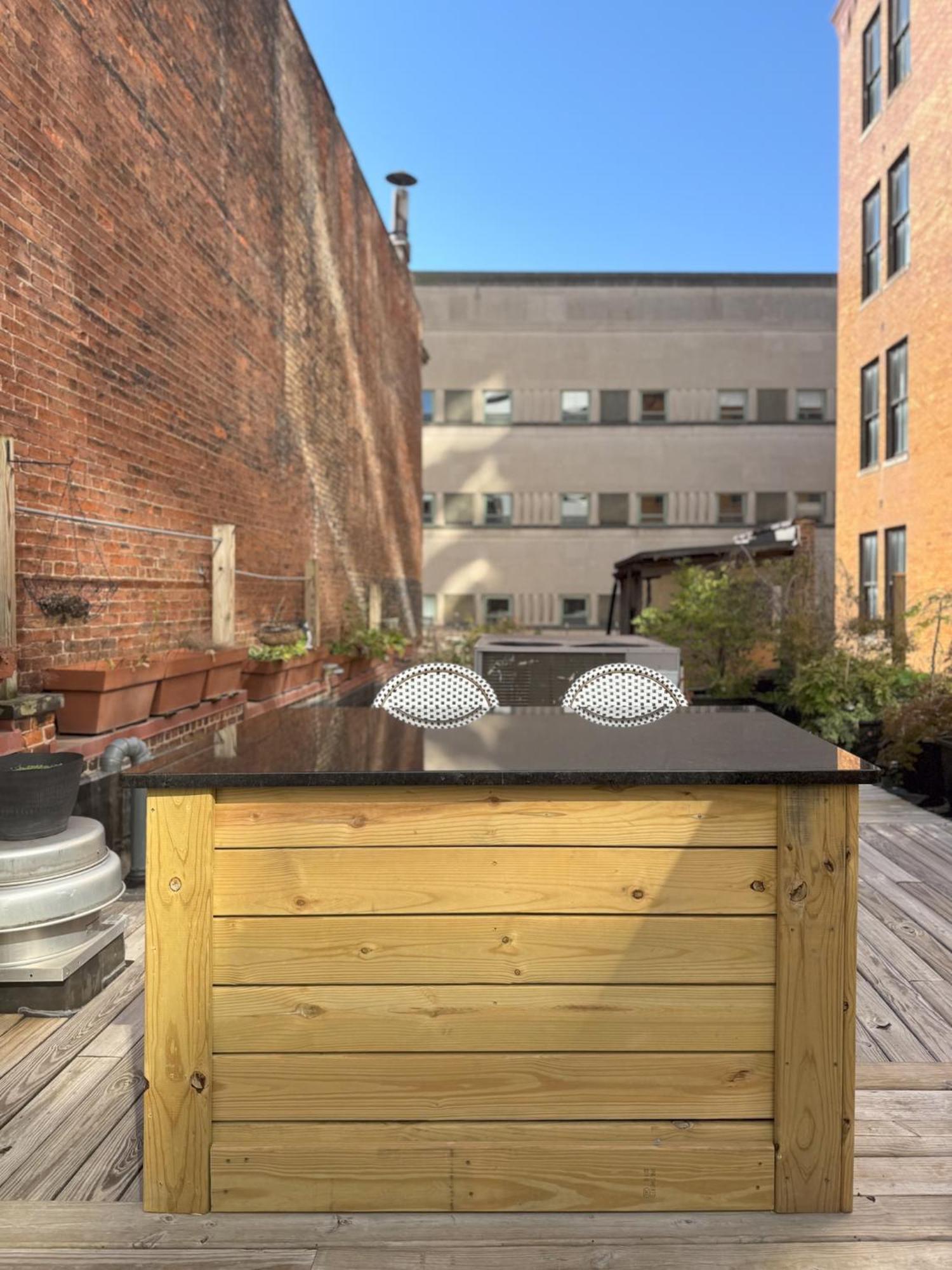 The Historic Lyric Penthouse With Private Rooftop Цинциннаті Екстер'єр фото